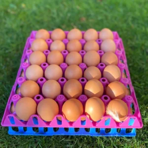 Free Range 30 Eggs Tray