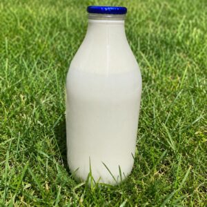 1 Pint Raw Milk Glass bottle
