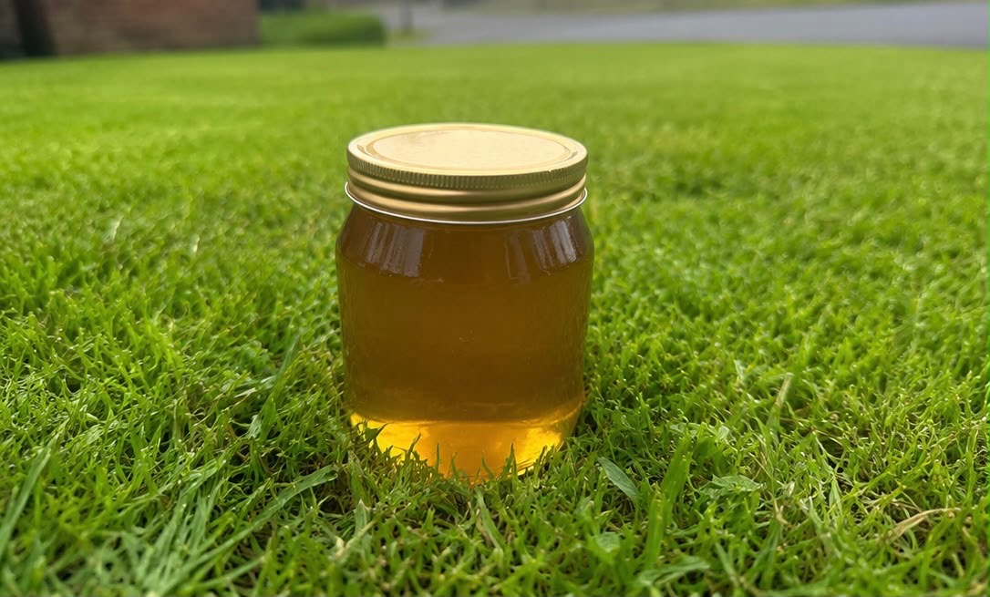 Raw Honey (454g)
